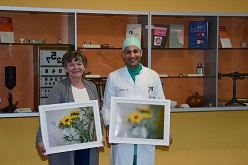 Patientin Jutta Poisel und Oberarzt Prof. Raiskup halten zwei Bilder der Fotoausstellung in den Händen. Die linke Aufnahme zeigt, wie verschwommen die Sicht bei degenerierter Hornhautschicht ist.  Foto: Uniklinikum Dresden / Holger Ostermeyer