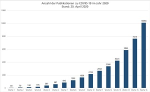 Die Zahl der Publikationen zu COVID-19 ist seit Anfang des Jahres sprunghaft angestiegen.  © Fraunhofer SCAI