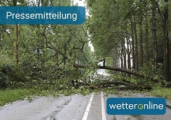 Die Sturmgefahr ist hoch. Vielerorts droht Windbruch durch heftige Böen. Bildnachweis: WetterOnline