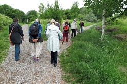 Wildkräuterwanderung USB