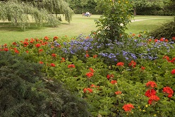 Marxloh Jubilaeumshain