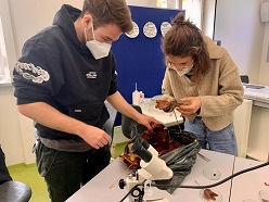 Die Studentin Johanna Stelzl und ihr Kommilitone Aaron Kettler waren im Seminar auf der Suche nach Lebewesen im Laub.  Jorge Groß/Universität Bamberg