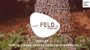 querFELDein-Podcast: Neue Folge rund um das Thema Wasser mit Prof. Gunnar Lischeid  Markus Spiske / Unsplash