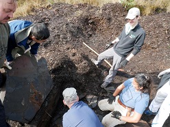 ntdeckung des Säugetiers  Prof. Dr. Torsten Wappler, HLMD