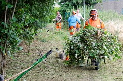Mitarbeiter des Technischen Betriebes der Stadt Bochum sind am 30.06.2016 an einem öffentlich genutzten Weg in Bochum-Stiepel mit umfangreichen Grünschnittarbeiten beschäftigt. +++ Foto: Lutz Leitmann / Stadt Bochum, Referat für Kommunikation