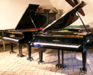 Bechstein-Flügel