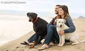 Die schönsten Reiseziele mit dem Hund