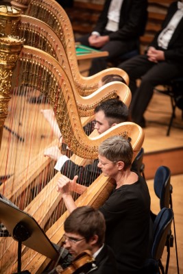 Gleich drei Harfen waren mit dabei, Impression des Sinfoniekonzert 7 von Manuela Jans