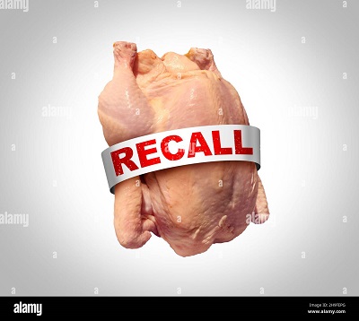 Chicken Recall Konzept als Symbol für kontaminiertes Geflügel mit Salmonellen