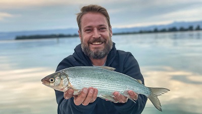 Felchen – Der Schweizer «Brotfisch»