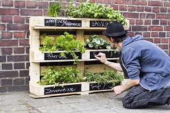 Paletten Freestyle Foto Urbanisten eV