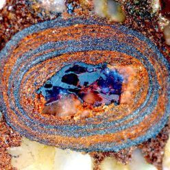 Querschnitt durch ein eiförmiges Eisenoxid-Steinchen: Wie in einer Zeitkapsel sind darin Informationen über den Gehalt von organischem Kohlenstoff des Meeres vor Jahrmillionen gespeichert.  Quelle: Nir Galili  Copyright: ETH Zürich