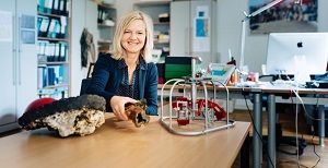 Dr. Andrea Koschinsky, Professorin für Geowissenschaften an der Constructor University, wurde in das Fachkollegium Atmosphären-, Meeres- und Klimaforschung der DFG gewählt.  Quelle: Constructor University