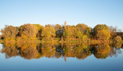 Grüne Lungen aktive Herzen Symbolbild pixabay