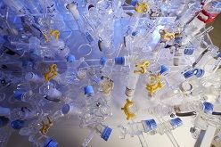 “Die Einführung verschiedener Gruppen verleiht den Pyrazolverbindungen verschiedene Eigenschaften.“  LIKAT/Nordlicht