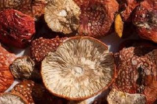 Getrocknete_Fliegenpilze_Symbolbild