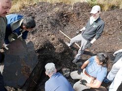 ntdeckung des Säugetiers  Prof. Dr. Torsten Wappler, HLMD