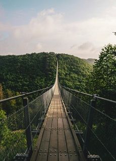 Entdeckungsreisen im Schwarzwald Symbolbild pixels