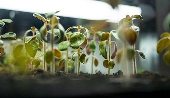 Balkonkraftwerk Symbolbild