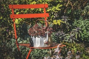 Bereit für den Sommer  Symbolbild