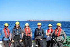 Das ChESS Team.  DFKI