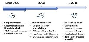 Mögliche Maßnahmen und resultierende Folgen im Falle eines Importstopps von russischem Erdgas für unterschiedliche Zeithorizonte.  Forschungszentrum Jülich