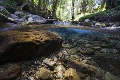 Die biologische Vielfalt von Binnengewässern, die Lebensgrundlage für das Leben von Natur und Mensch, ist stark bedroht.  Michael Roggo