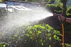 Bewässerung - 02-07-2018