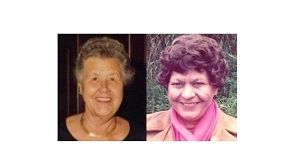 Website der Waldtraut und Sieglinde Hildebrandt-Stiftung im Rahmen der Webpräsenz des Deutschen Stiftunsgzentrums im Stifterverband