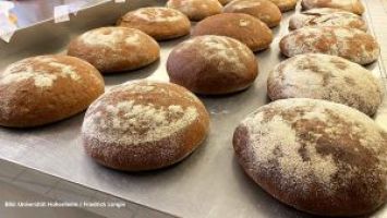 Brot der Zukunft: So wird Weizenbrot noch nährstoffreicher