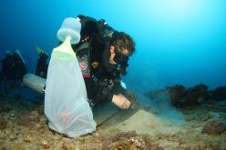 Tali Mass ist eine erfahrene Taucherin. Hier befestigt sie die Netze, um Planula-Larven zu sammeln, nachdem die Korallen gelaicht haben.  Quelle: Hagai Nativ