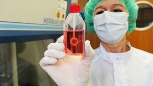 Ein Großteil der am Uniklinikum Würzburg gespendeten Gewebe sind Augenhornhäute. Vor der dortigen Lions Hornhautbank Würzburg erhielten seit dem Jahr 2013 über 1000 Patientinnen und Patienten in ganz Deutschland ein Hornhauttransplantat.  DGFG