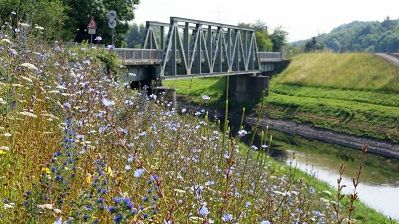 Blühwiesen auf den Emscherdeichen zur Steigerung der Artenvielfalt  © Emschergenossenschaft/Lippeverband