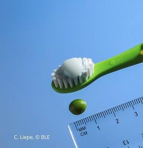 Dosierung Zahnpasta Erbsengroß  C.Liepe  BLE