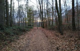 Die besten Ausflugsziele rund um Bochum für undebesitzer Symbolfoto