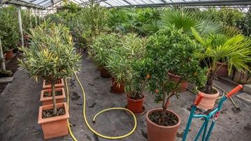 Ordnung im Garten schaffen Symbolbild