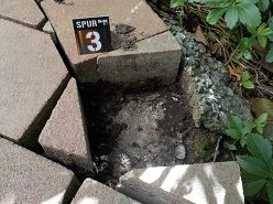 Wie die Profis! - Drei