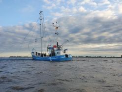 Auf der Elbe unterwegs: Ein Großteil der Probennahmen erfolgte mit dem Hamenkutter „Ostetal“.  Copyright: Ralf Thiel