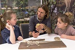 Wissenswertes über Eidechsen kann man zum Beispiel im Fossilium des Tierparks Bochum erfahren.