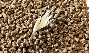 Expertenteams am Fraunhofer LBF haben neuartige naturfaserverstärkte Compounds für die Verarbeitung im High Speed Additive Manufacturing entwickelt.  Saskia Biehl  Fraunhofer LBF