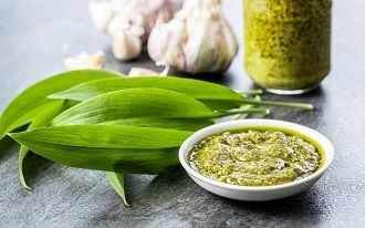 Bärlauch Pesto Symbolbild