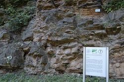 Geologischer Garten, Wiemelhausen - 03 Juli 2012