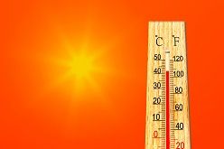 42,6 Grad – in Lingen wurde eine historische Rekordtemperatur gemessen. Quelle: WetterOnline