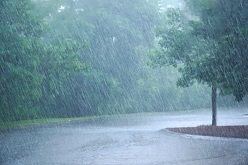 Anhaltende und kräftige Regenfälle können in den kommenden Tagen an Flüssen und Bächen zu Hochwasser führen. Quelle: WetterOnline