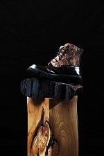 Schuhe mit Robiniensohle Foto: Max-Planck-Institut für Kolloid- und Grenzflächenforschung  Patrick Walter