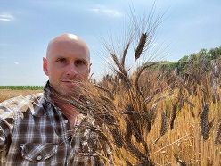 Der vermutlich weltgrößte Emmer-Versuch an der Universität Hohenheim ist beendet: Prof. Dr. Friedrich Longin  Friedrich Longin  Universität Hohenheim