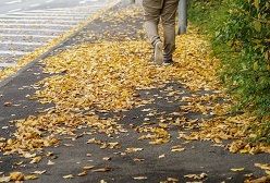 Gefährlich: Nasses Herbstlaub kann Bürgersteige schnell in rutschige Flächen verwandeln. Räumen ist deshalb für Hauseigentümer oder Mieter in vielen Kommunen Pflicht. Foto: HUK-COBURG