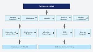 Auf welchen pathophysiologischen Mechanismen beruht die präventive Wirkung von Sport?  Modifiziert nach: Fan B et al What and How Can Physical Activity Preventio