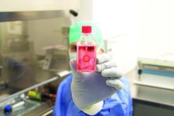 Augenhornhauttransplantat in der Gewebebank  DGFG