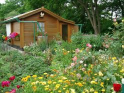 Biodiverser Kleingarten.  Foto: BKD